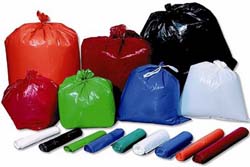 Piden informes sobre la erradicación de bolsas plásticas en la ciudad